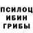 Галлюциногенные грибы мицелий Greg Narinyan