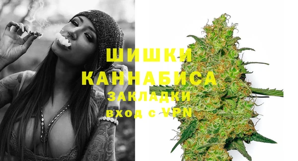 PSILOCYBIN Лиски