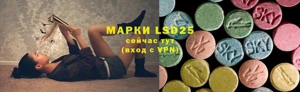 хмурый Липки