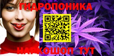 крисы Ирбит