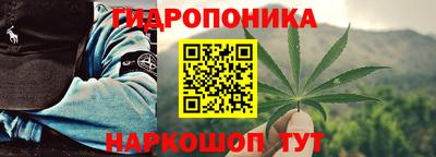 крисы Ирбит