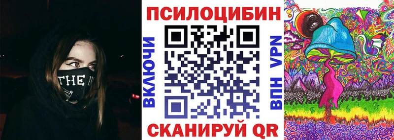 Псилоцибиновые грибы Psilocybe Ростов-на-Дону