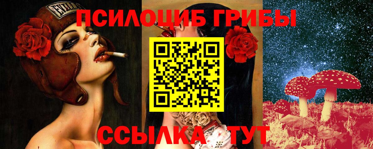 Ростов-на-Дону  Галлюциногенные грибы Cubensis  дарнет шоп  Вход с VPN  Галлюциногенные грибы мицелий 