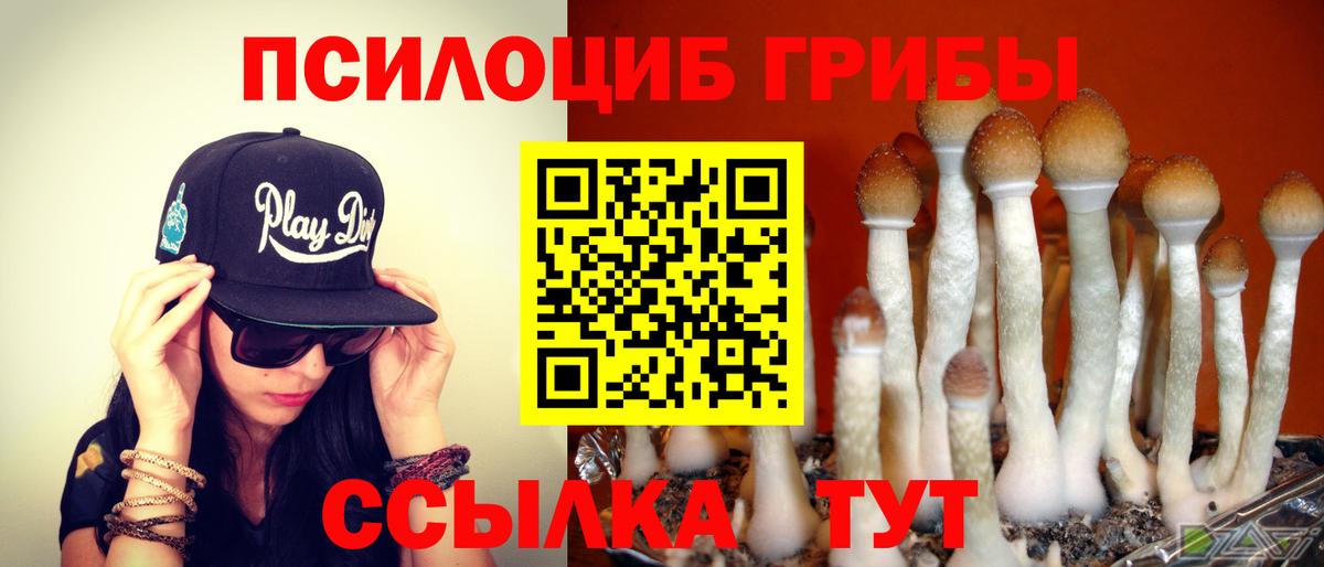 Галлюциногенные грибы прущие грибы  Ростов-на-Дону 